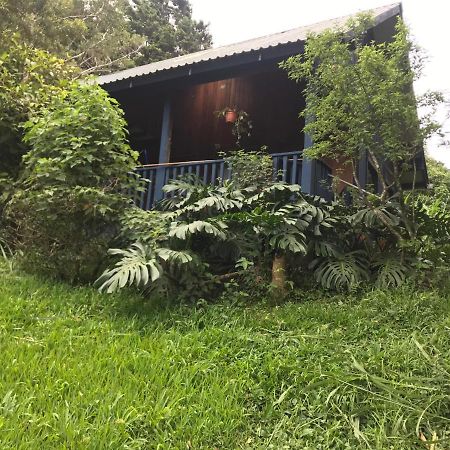 Hotel Casitas Rainy Days Monteverde Exterior foto