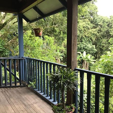 Hotel Casitas Rainy Days Monteverde Exterior foto