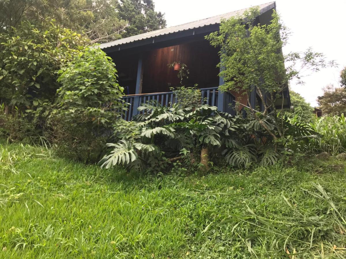 Hotel Casitas Rainy Days Monteverde Exterior foto