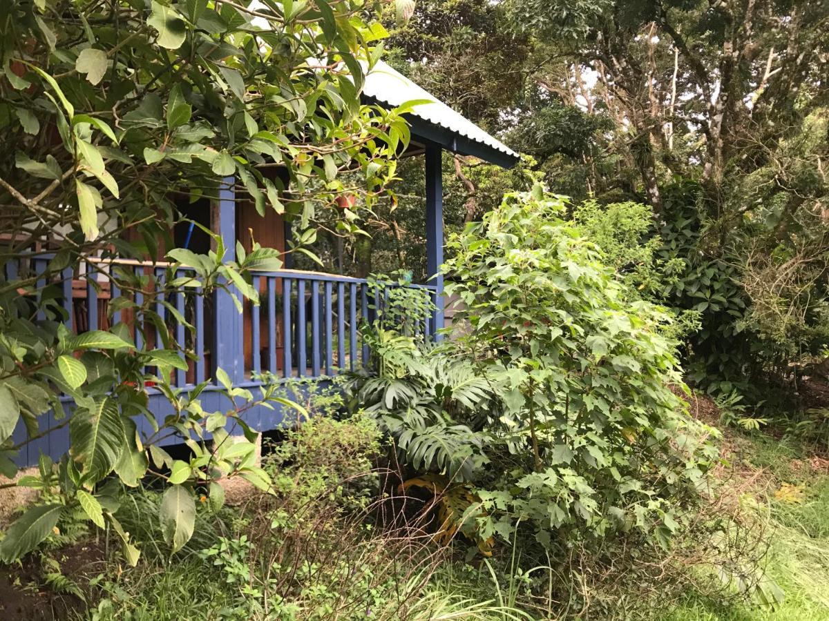 Hotel Casitas Rainy Days Monteverde Exterior foto